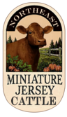 northeastminiaturejersey.com